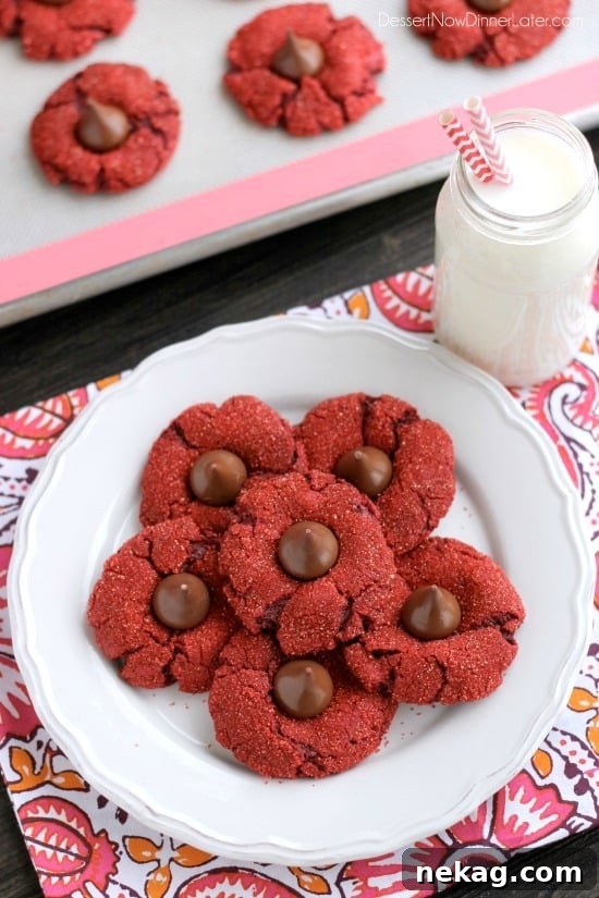 Red Velvet Blossom Cookies (Video Tutorial) 3 Red velvet blossom cookies with Hershey's chocolate kisses in the center.