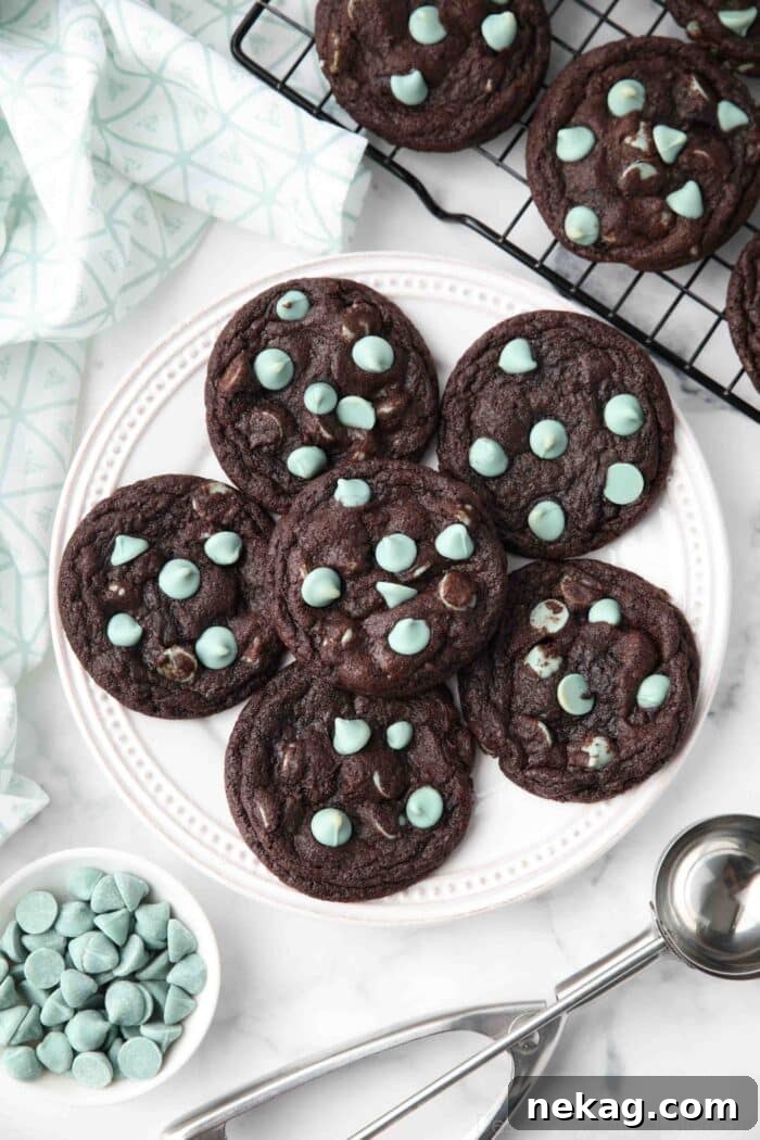Plate full of chocolate cookies with mint chips.