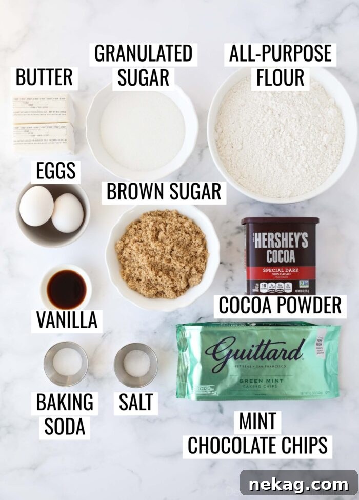 Labeled ingredients needed to make Chocolate Mint Chip Cookies.