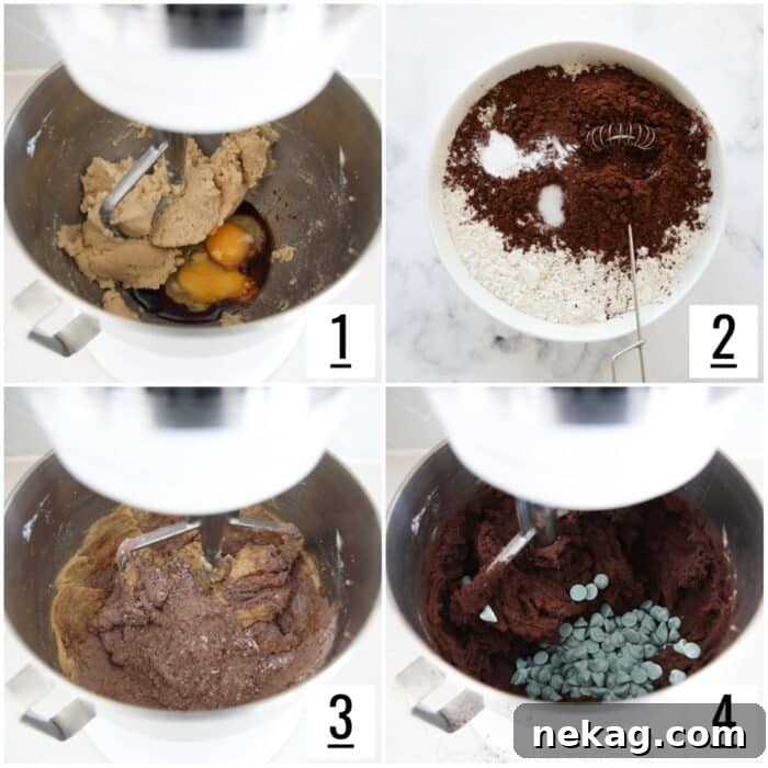 Steps to make chocolate cookies with mint chips.