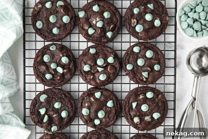 Fudgy chocolate mint chip cookies on a wire cooling rack.