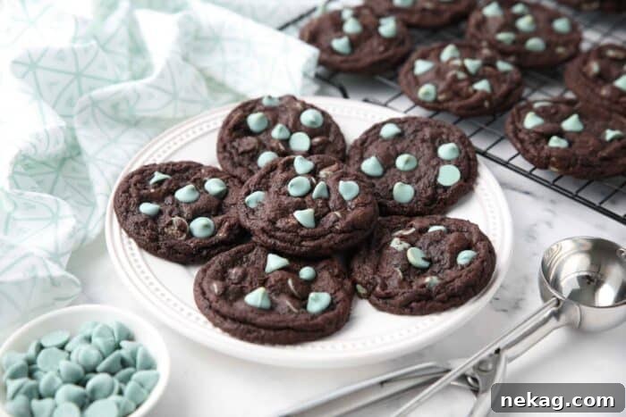 Plate full of chocolate cookies with mint chips.
