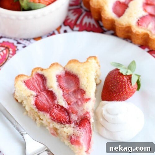 This Strawberry Cake is lightly sweet, layered with fresh sliced strawberries, and is served with a side of coconut whipped cream. A stunning and delicious dessert for any occasion or Valentine's Day.