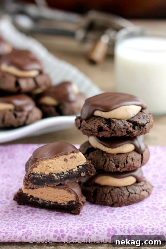 Peanut Butter Chocolate Buckeye Cookies: Homemade Recipe 2 Buckeye Cookies - a chocolate brownie cookie base, topped with peanut butter balls, all covered in chocolate! These are insanely delicious!