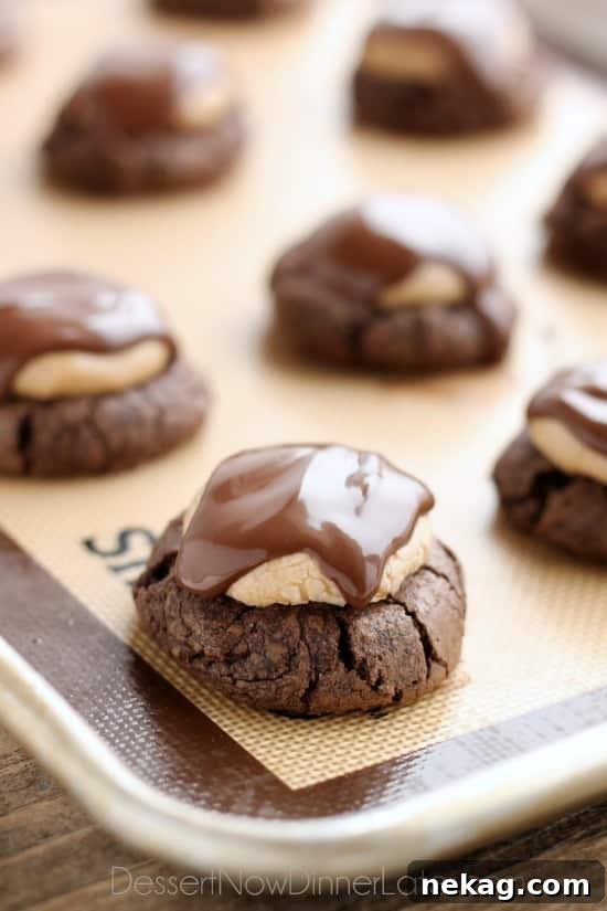 Peanut Butter Chocolate Buckeye Cookies: Homemade Recipe 3 Buckeye Cookies - a chocolate brownie cookie base, topped with peanut butter balls, all covered in chocolate! These are insanely delicious!