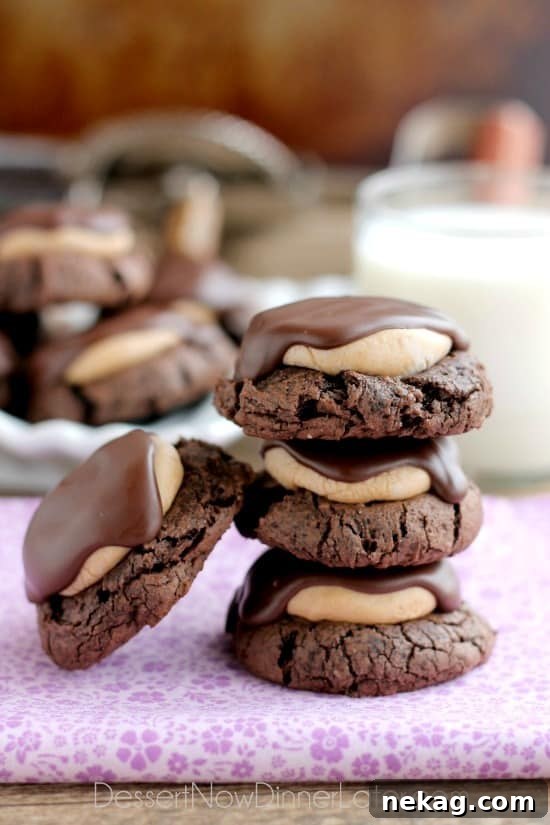 Peanut Butter Chocolate Buckeye Cookies: Homemade Recipe 5 Buckeye Cookies - a chocolate brownie cookie base, topped with peanut butter balls, all covered in chocolate! These are insanely delicious!