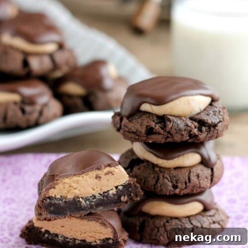 Buckeye Cookies - a chocolate brownie cookie base, topped with peanut butter balls, all covered in chocolate! These are insanely delicious!
