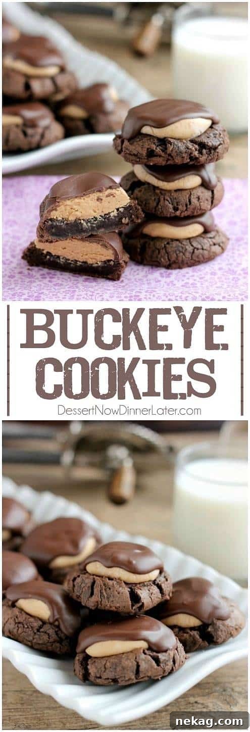 Peanut Butter Chocolate Buckeye Cookies: Homemade Recipe 7 Buckeye Cookies - a chocolate brownie cookie base, topped with peanut butter balls, all covered in chocolate! These are insanely delicious!