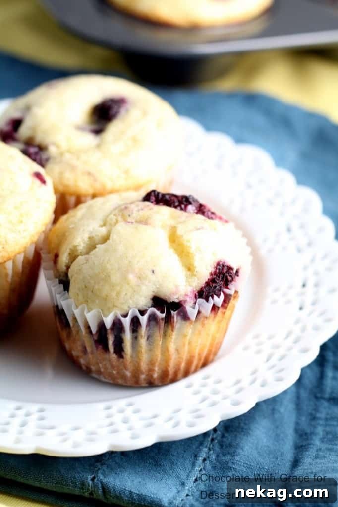 These soft and fluffy Lemon Berry Muffins whip up in less than a half hour and are perfect for brunch.