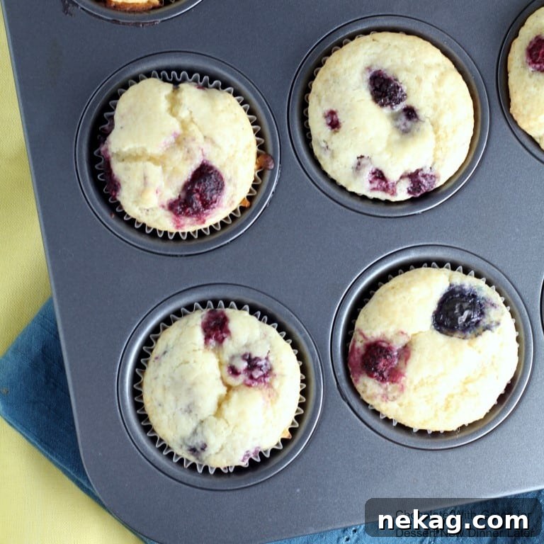 These soft and fluffy Lemon Berry Muffins whip up in less than a half hour and are perfect for brunch.