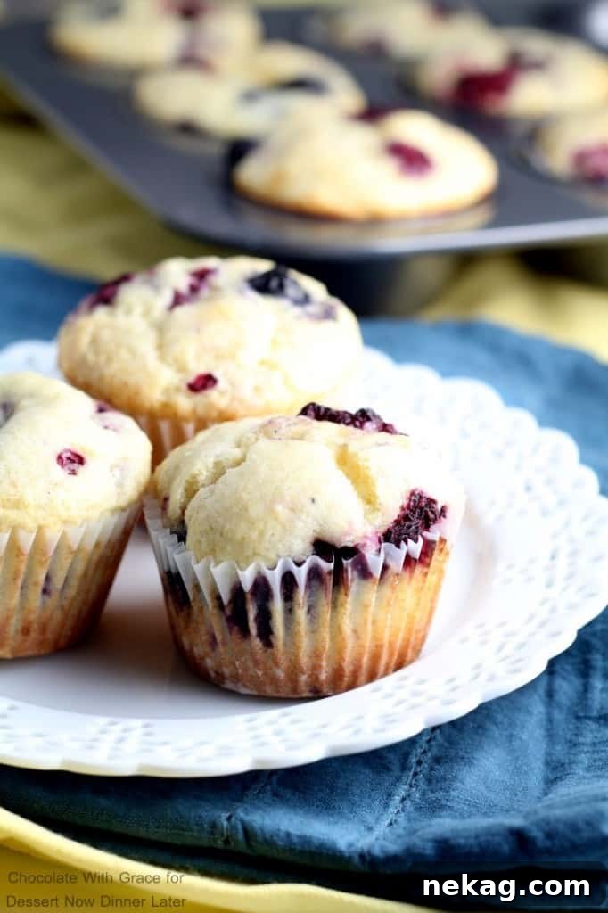 These soft and fluffy Lemon Berry Muffins whip up in less than a half hour and are perfect for brunch.