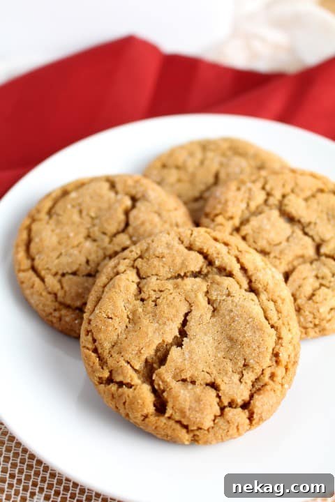 Molasses-Crinkle-Cookies (4) (Small)