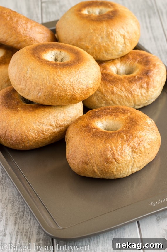 img 11276 7