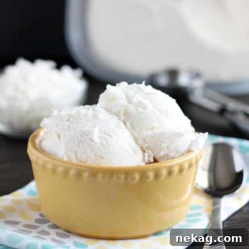 No Churn Coconut Ice Cream