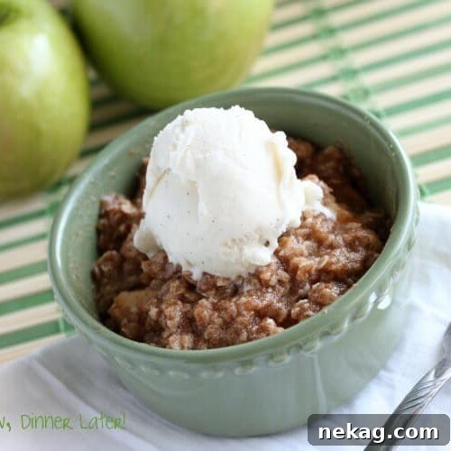 Apple crisp single serving photo