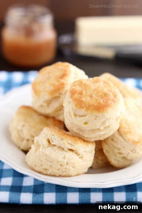 How to Make Perfect Flaky Biscuits (Step-by-Step Video) 2 The secret to Foolproof Flaky Biscuits is revealed! Find out how to get flaky, layered, buttery, tender biscuits you will swoon over! (Tips, Tricks, & Photo Tutorial Included!)