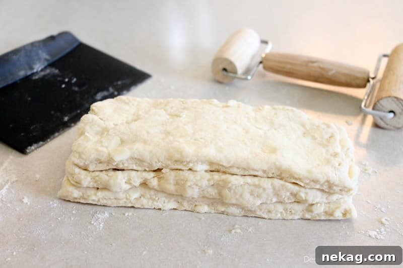 How to Make Perfect Flaky Biscuits (Step-by-Step Video) 7 Foolproof Flaky Biscuits - tutorial