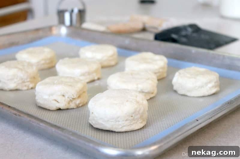 How to Make Perfect Flaky Biscuits (Step-by-Step Video) 9 Foolproof Flaky Biscuits - tutorial