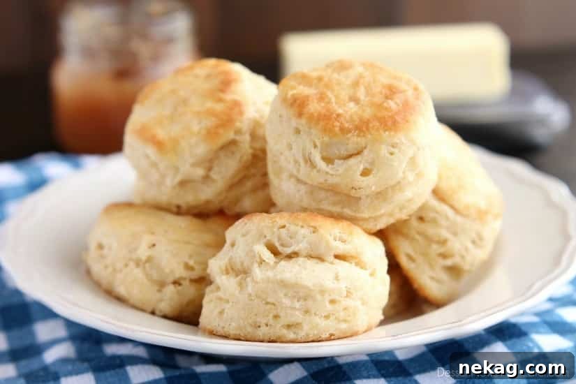 How to Make Perfect Flaky Biscuits (Step-by-Step Video) 10 The secret to Foolproof Flaky Biscuits is revealed! Find out how to get flaky, layered, buttery, tender biscuits you will swoon over! (Tips, Tricks, & Photo Tutorial Included!)