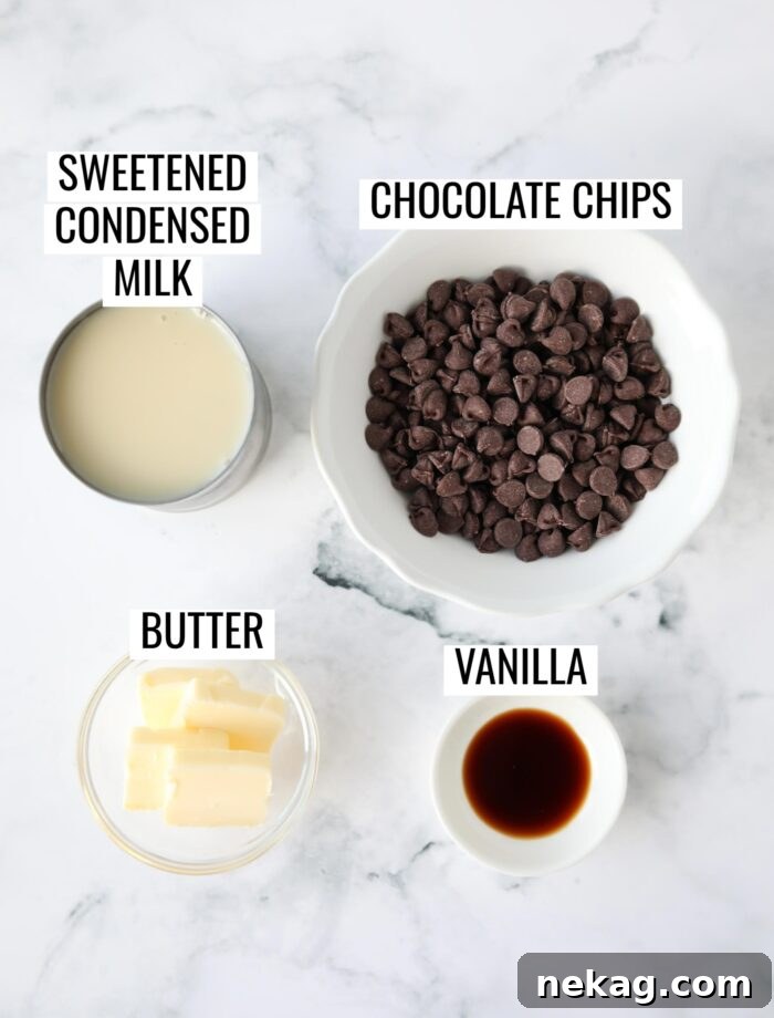 Ingredients to make hot fudge sauce.