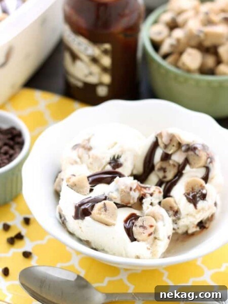 No churn chocolate chip cookie dough ice cream