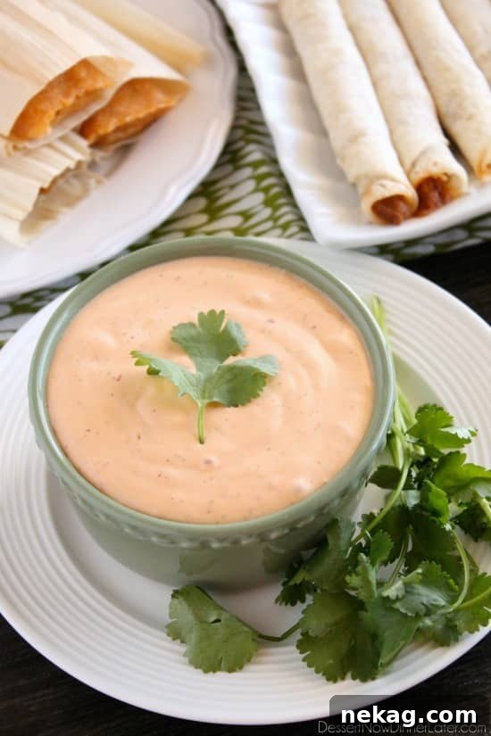 This 4 ingredient Chipotle Ranch makes a delicious dip or dressing!