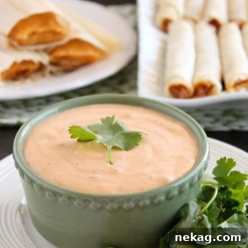 This 4 ingredient Chipotle Ranch makes a delicious dip or dressing!