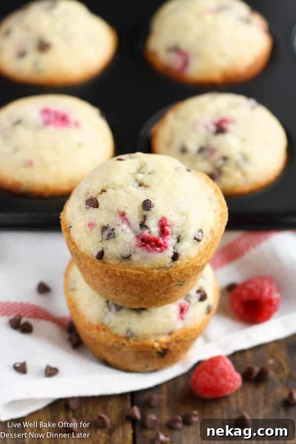 Raspberry Chocolate Chip Muffins Recipe — Moist Berry Muffins 4 Raspberry Chocolate Chip Muffins