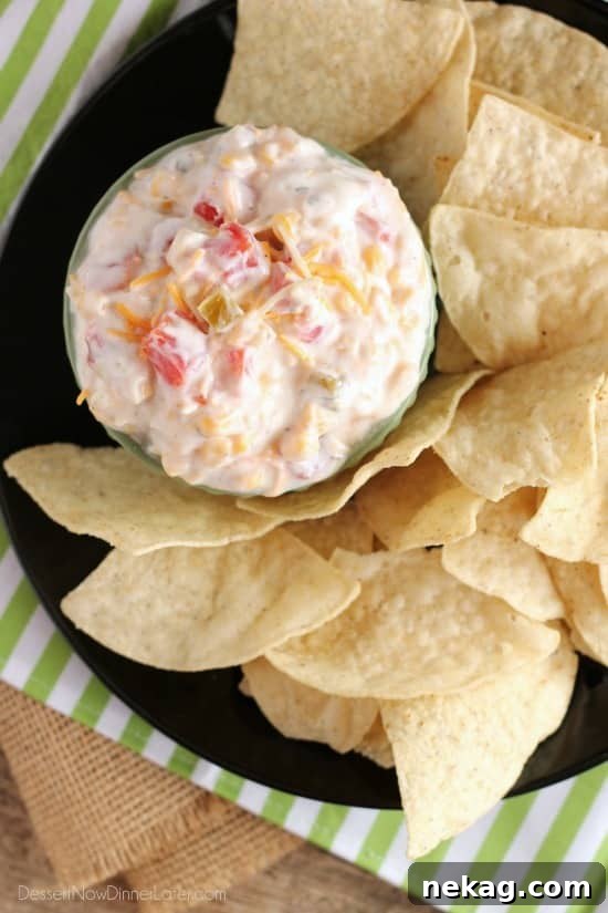 Fiesta Ranch Dip - only 5 ingredients for this spicy-cool party dip.