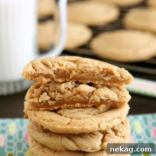 Thick Chewy Peanut Butter Cookies Recipe (Video) 6 These Thick and Chewy Peanut Butter Cookies are slightly crisp on the outside, tender and soft on the inside, plus you just scoop and bake them! No rolling in sugar and pressing with a fork required!