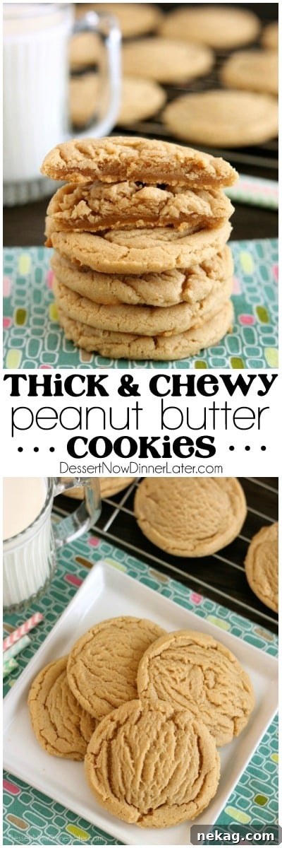 Thick Chewy Peanut Butter Cookies Recipe (Video) 7 These Thick and Chewy Peanut Butter Cookies are slightly crisp on the outside, tender and soft on the inside, plus you just scoop and bake them! No rolling in sugar and pressing with a fork required!