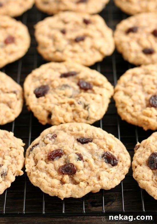These classic Chewy Oatmeal Raisin Cookies are bursting with vanilla and cinnamon, full of plump raisins and hearty rolled oats, and are perfectly soft and chewy to eat!