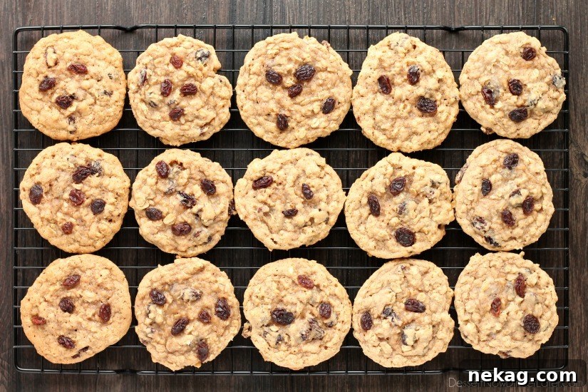 These classic Chewy Oatmeal Raisin Cookies are bursting with vanilla and cinnamon, full of plump raisins and hearty rolled oats, and are perfectly soft and chewy to eat!