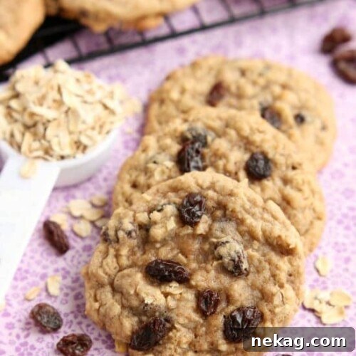 These classic Chewy Oatmeal Raisin Cookies are bursting with vanilla and cinnamon, full of plump raisins and hearty rolled oats, and are perfectly soft and chewy to eat!