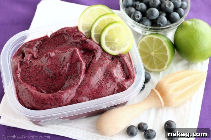 With only 4 ingredients and 5 minutes or less in the food processor (or blender), you can have this healthy Instant Blueberry Frozen Yogurt!