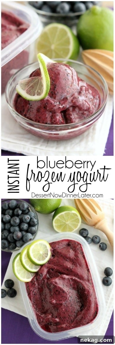 With only 4 ingredients and 5 minutes or less in the food processor (or blender), you can have this healthy Instant Blueberry Frozen Yogurt!
