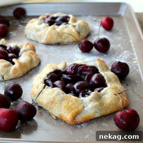 Rustic Cherry Tarts