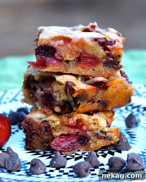 Chocolate Chip Cherry Blondies