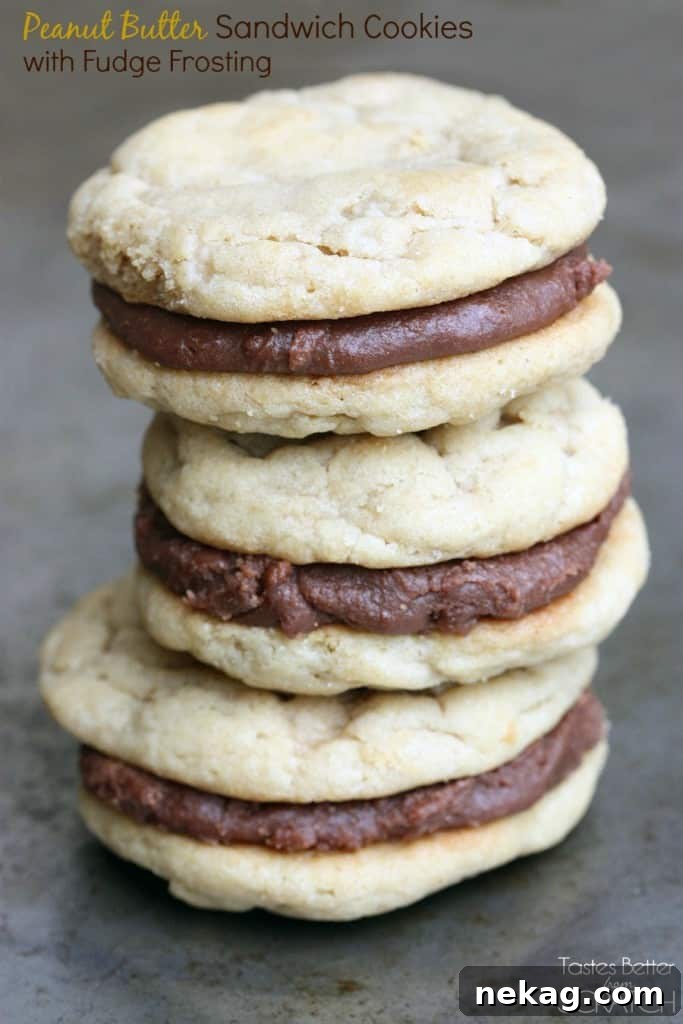 Chewy Peanut Butter Cookies are sandwiched between a simple Fudge Frosting to create an ultimate peanut butter chocolate cookie worth devouring!