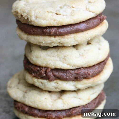 Chewy Peanut Butter Cookies are sandwiched between a simple Fudge Frosting to create an ultimate peanut butter chocolate cookie worth devouring!