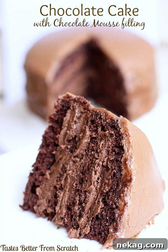 ChocolateMousseCake.jpg