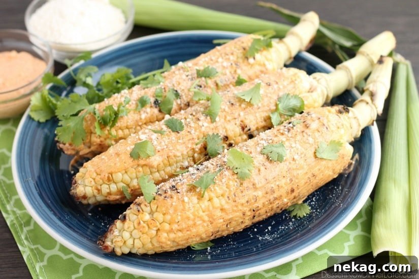 This Mexican Corn on the Cob is grilled and slathered in a chili-lime mayo. Finish it off with a sprinkle of cheese and you won't want corn on the cob any other way!