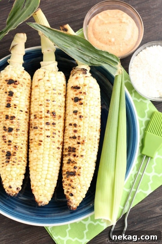 This Mexican Corn on the Cob is grilled and slathered in a chili-lime mayo. Finish it off with a sprinkle of cheese and you won't want corn on the cob any other way!