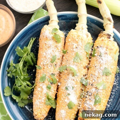 This Mexican Corn on the Cob is grilled and slathered in a chili-lime mayo. Finish it off with a sprinkle of cheese and you won't want corn on the cob any other way!