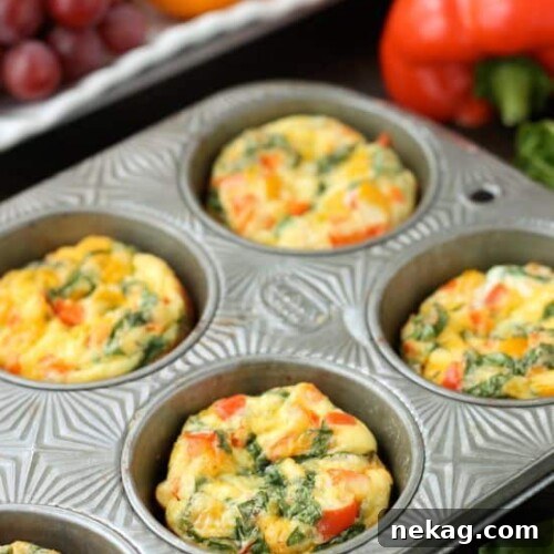 These Breakfast Egg Cups are the perfect go-to breakfast when you are on-the-go! Great for school day mornings and busy schedules.