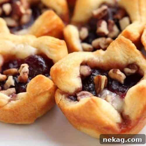 Cranberry Brie Bites: Festive Appetizers with Puff Pastry 11 Cranberry Brie Bites are an easy 4-ingredient appetizer for your holiday party. Plus they taste amazing!