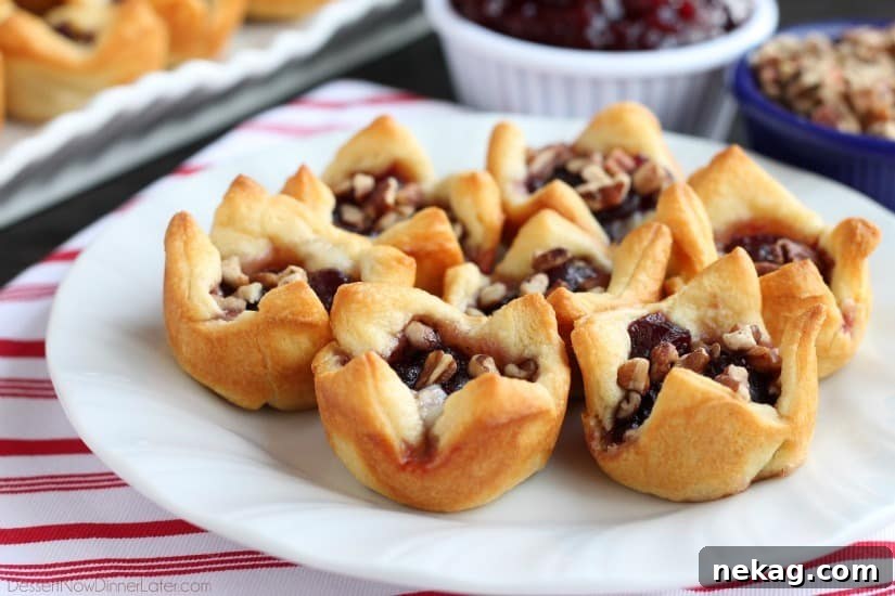 Cranberry Brie Bites: Festive Appetizers with Puff Pastry 3 Cranberry Brie Bites are an easy 4-ingredient appetizer for your holiday party. Plus they taste amazing!