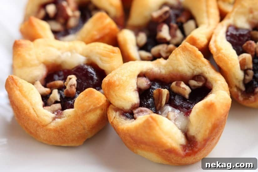 Cranberry Brie Bites: Festive Appetizers with Puff Pastry 10 Cranberry Brie Bites are an easy 4-ingredient appetizer for your holiday party. Plus they taste amazing!