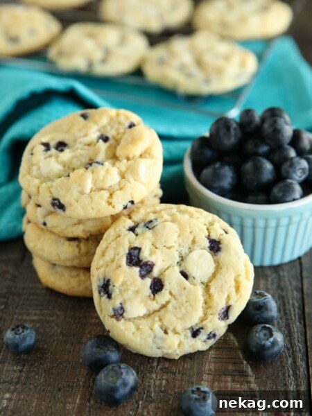 Blueberry Cheesecake Cookies