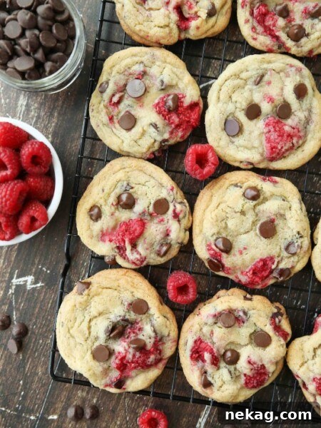 Raspberry Chocolate Chip Cookies